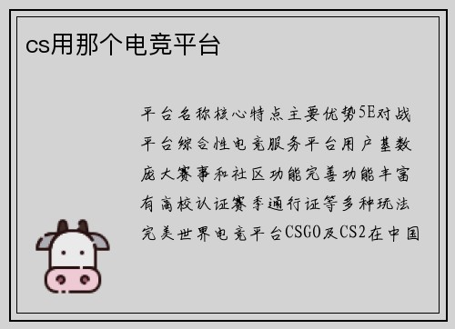 cs用那个电竞平台